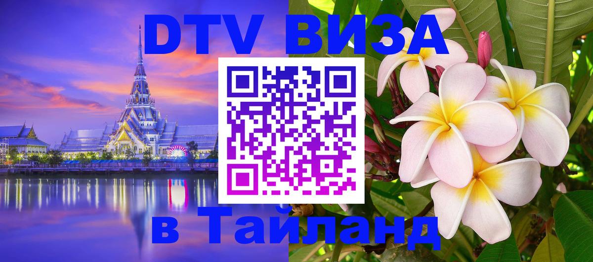 Оформление DTV визы под ключ: стоимость и тарифы, только загранпаспорт - 10.01.2026 